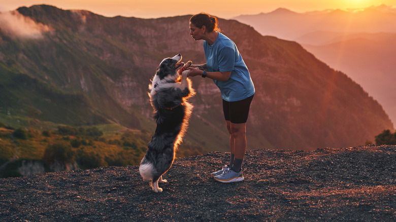 A woman dancing with her border collie on top of a mountain