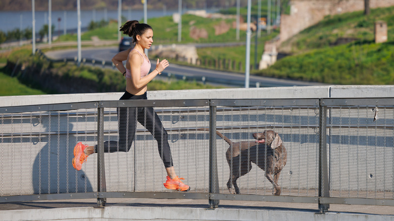 Woman running with a Weimaraner