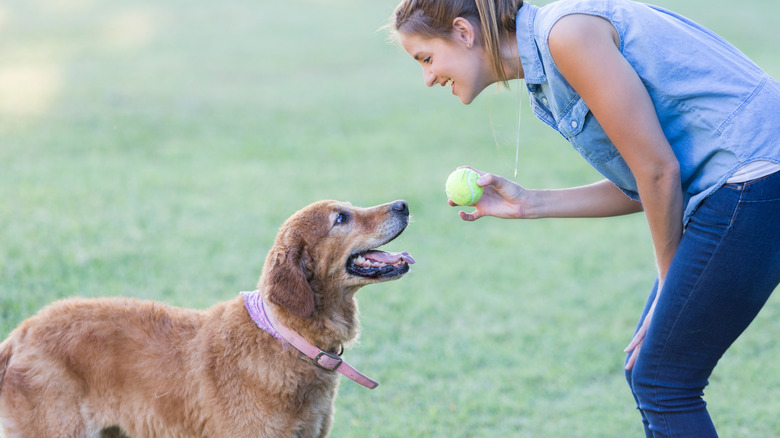 Woman outside smiling at her dog, about to throw a tennis ball