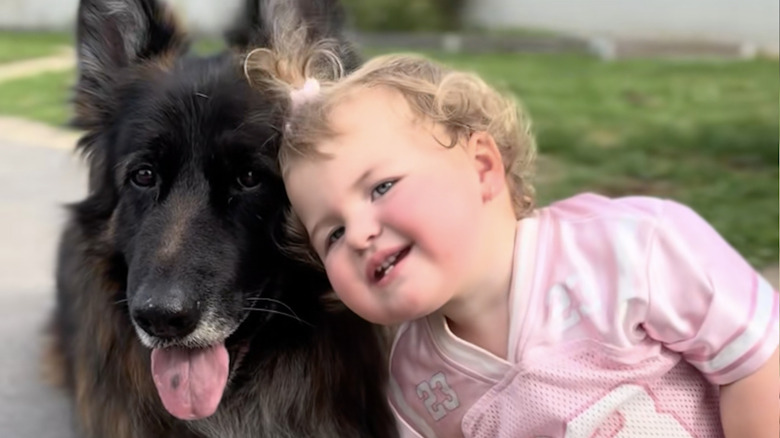 Kaos the German shepherd from TikTok is a gentle companion to toddler sister.