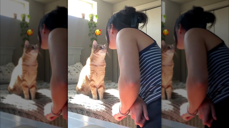 Ginger cat giving her human a kiss