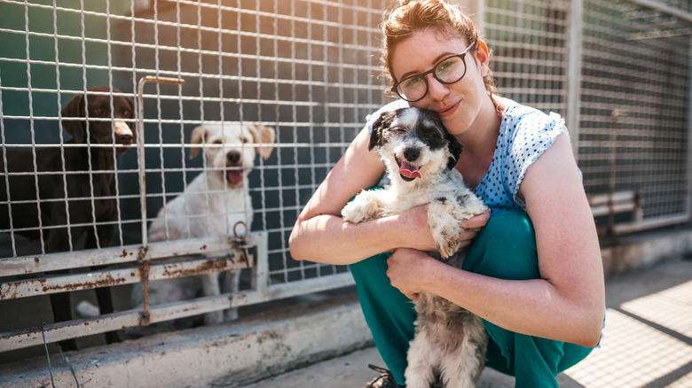 Dogs at an animal shelter with a volunteer.