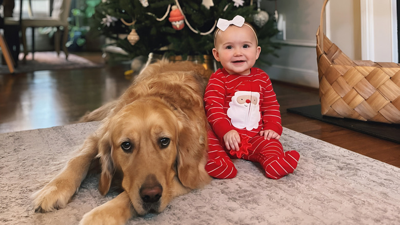 Happy baby sitting with a golden retriever