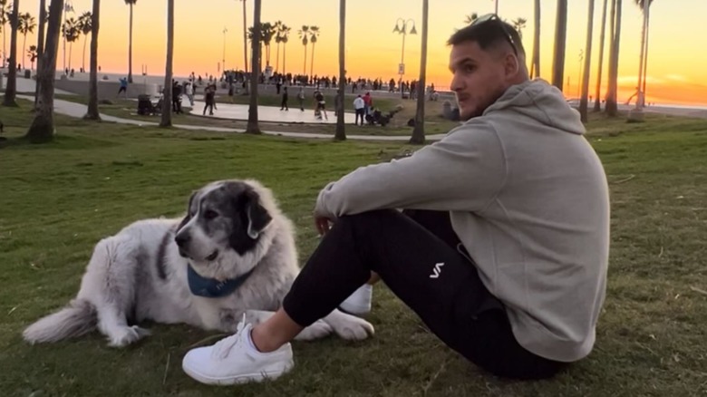 Great Pyrenees sitting on grass with male owner
