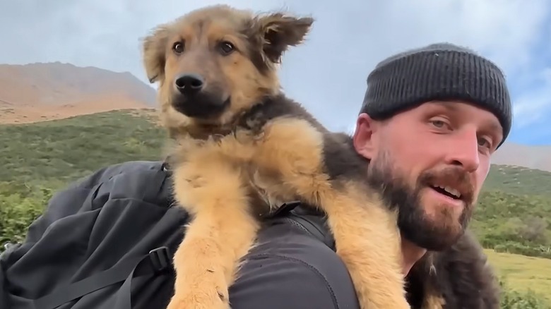 Brown and tan puppy lays over man in beanie's shoulders while he walks in the mountains.