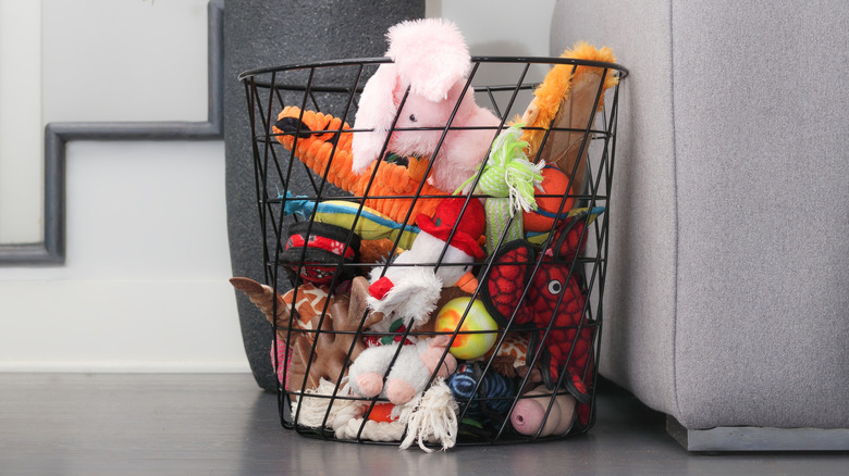Basket of dog toys next to a couch in an apartment