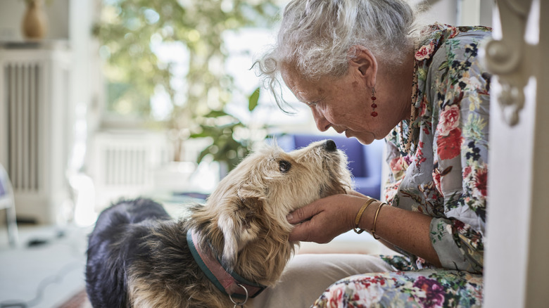 A senior woman in a colorful top leaning forward and looking into a dog's eyes.