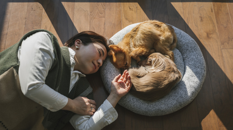 A woman sleeping on the floor beside her two dogs