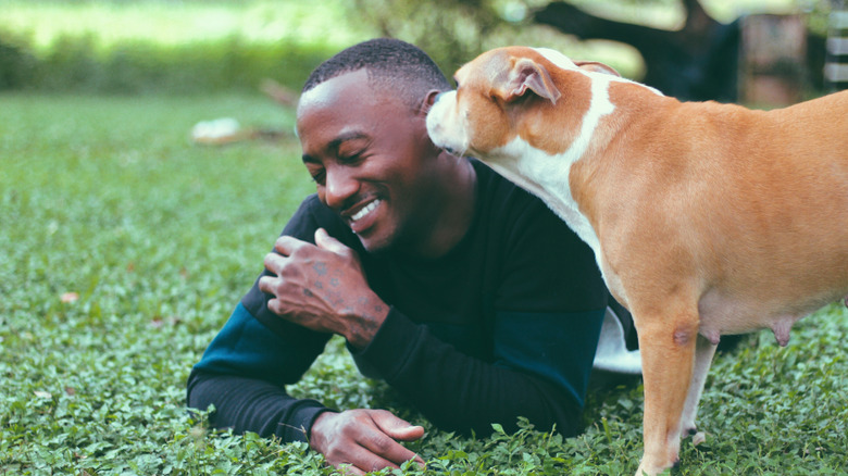 A mixed-breed dog happily greets a man