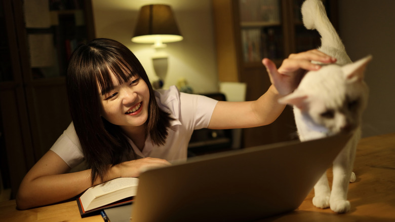 Student at laptop, petting cat on her desk