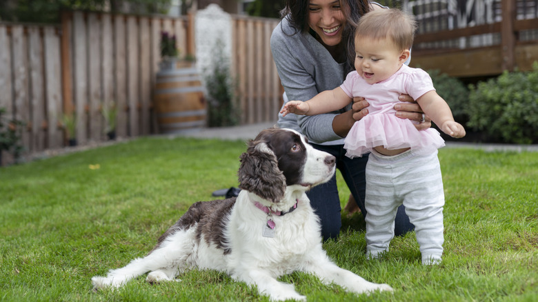 Mother holding baby near Irish springer dog in backyard