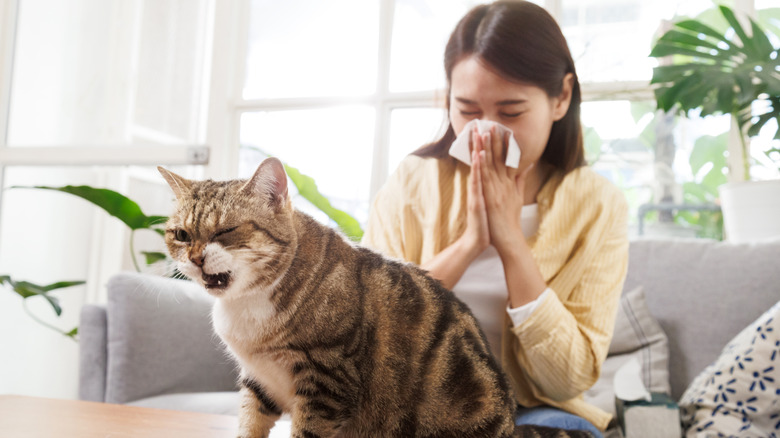 Cat and owner sneezing