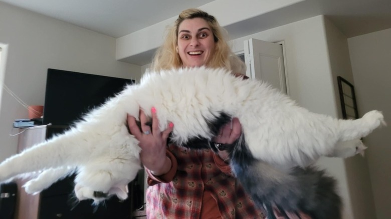 Woman holds very long black and white cat that is stretched out with their back arched.
