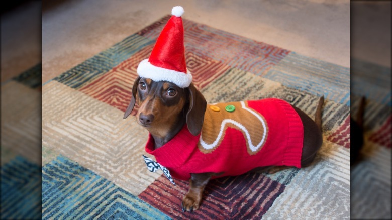 Gingerbread man sweater