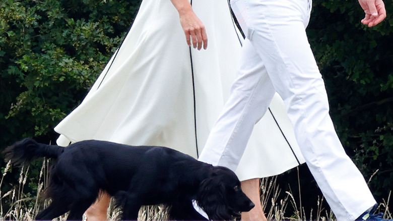 Prince William and Catherine, Princess of Wales, walking one of their dogs