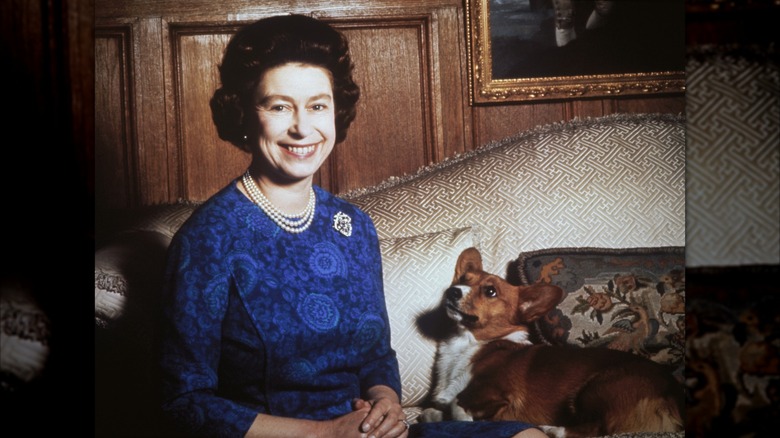 Queen Elizabeth II with one of her corgis in the 1970s.