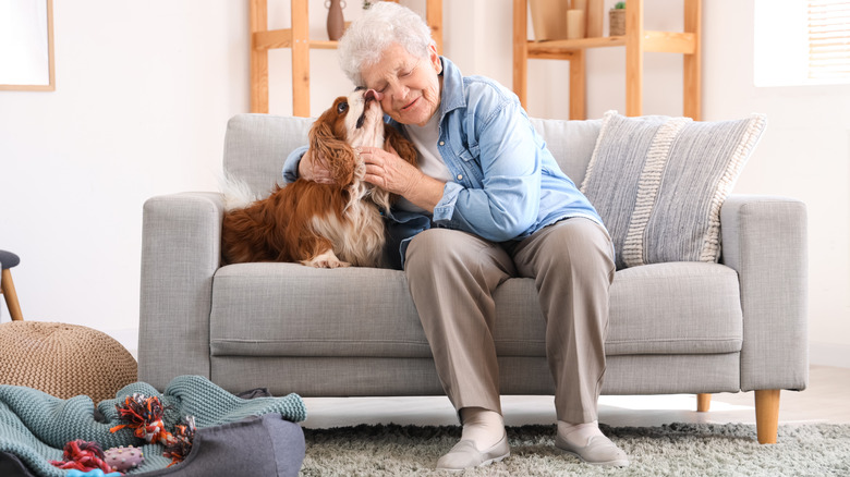 A senior woman hugging a cavalier King Charles spaniel on the couch.