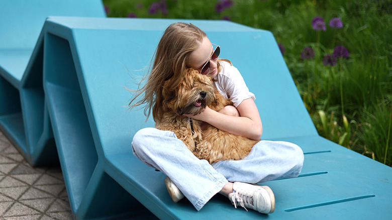 A young girl sitting on a blue patio chair with a Havanese dog in her lap.