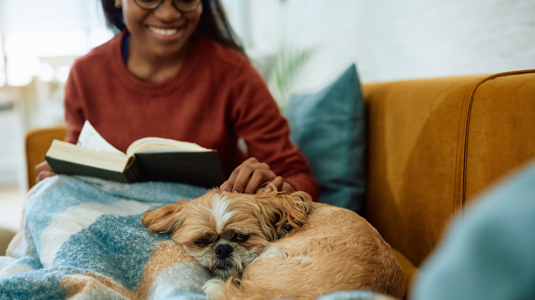 A smiling woman in glasses and a red sweater petting a shih tzu on a yellow couch.