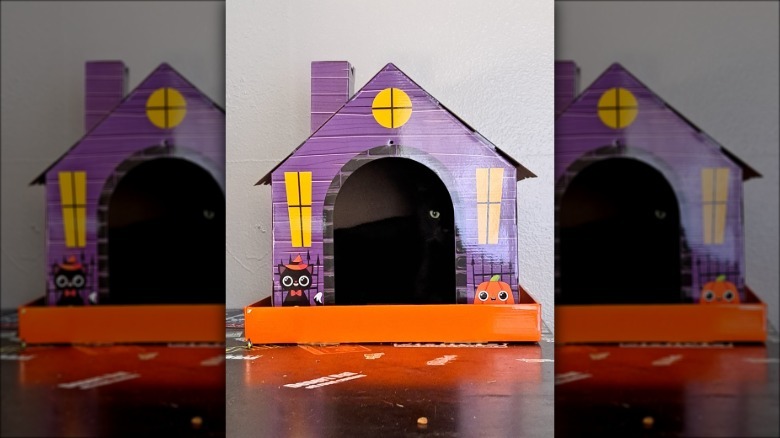 black cat inside halloween-themed carboard cat house.