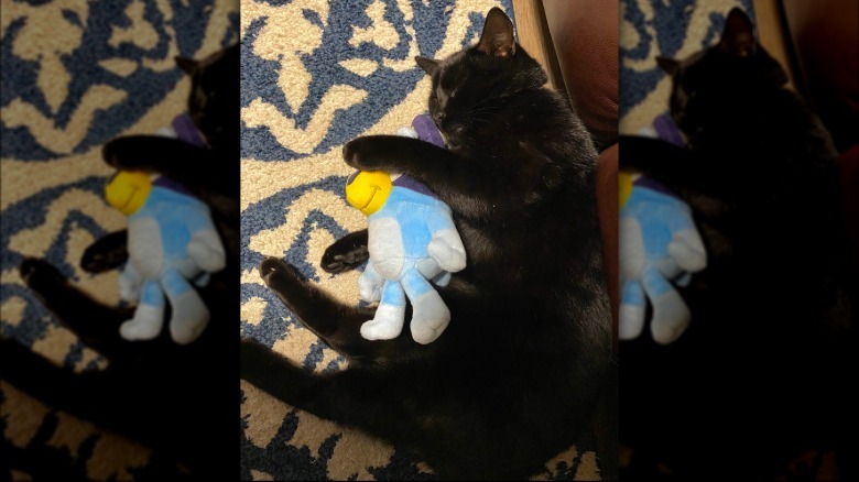 black cat sleeping with stuffed animal.