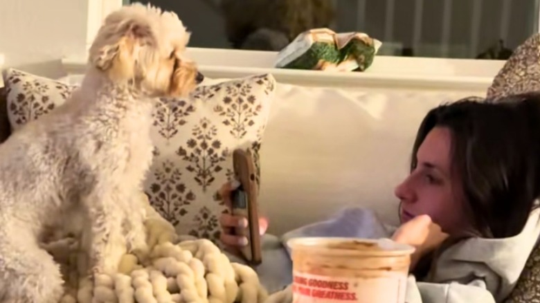 Maltipoo standing on a woman is who laying on a couch.