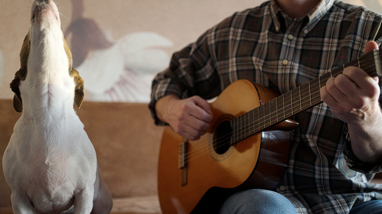 Man plays guitar while dog howls