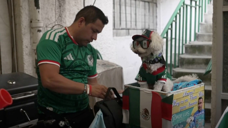 Poodle mix wearing a Mexico jersey, hat, and sunglasses while sitting in the back of a cargo bicycle