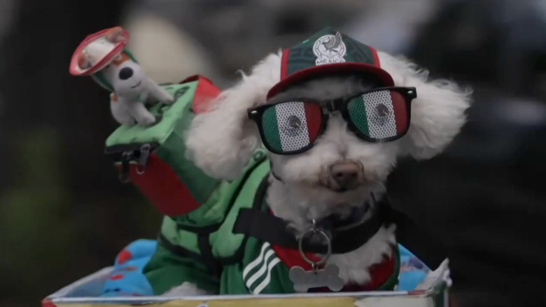 Poodle mix wearing a Mexico jersey, hat, and sunglasses