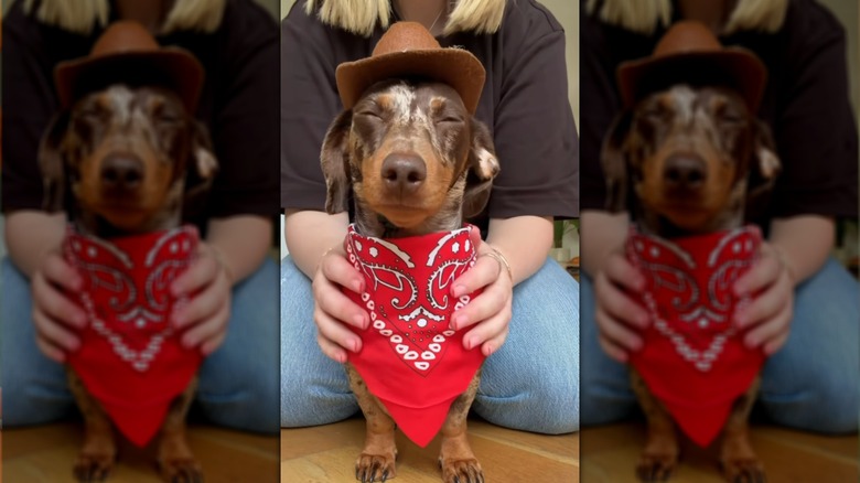 Cherry showing off her cowboy-inspired costume
