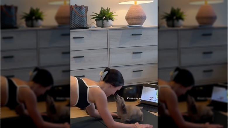 An owner exercises with her mini dachshund puppy
