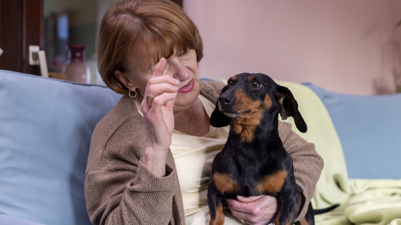 A senior woman sits on a sofa in the living room and holds her dachshund dog in her arms.