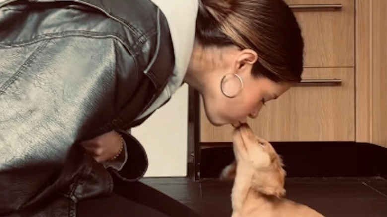 Darcy the mini dachshund on TikTok learns how to give kisses.
