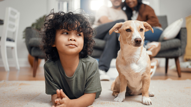 Small tan and white dog sits next to mischievous boy with curls.