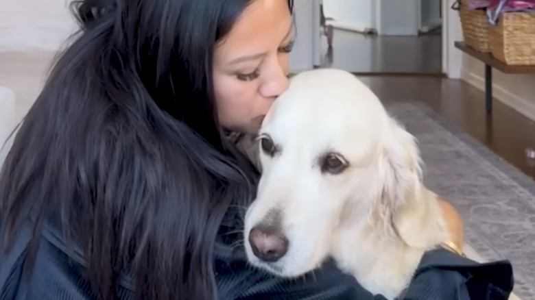 Nine-year-old Harlow was deemed a soul dog by pet mom.