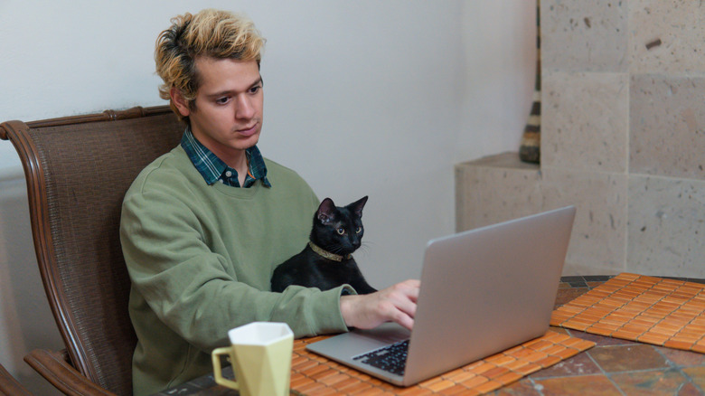 Man sitting in front of laptop wtih cat on his lap