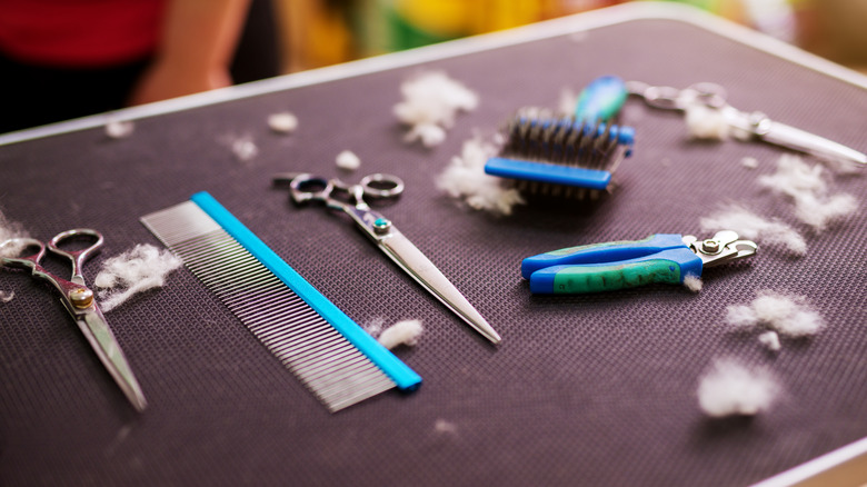 Dog grooming tools laid out.