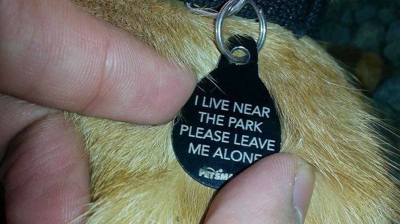 Cat's tag that says, "I live near the park. Please leave me alone."