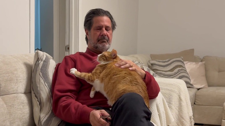 An orange and white cat cuddling its grandpa