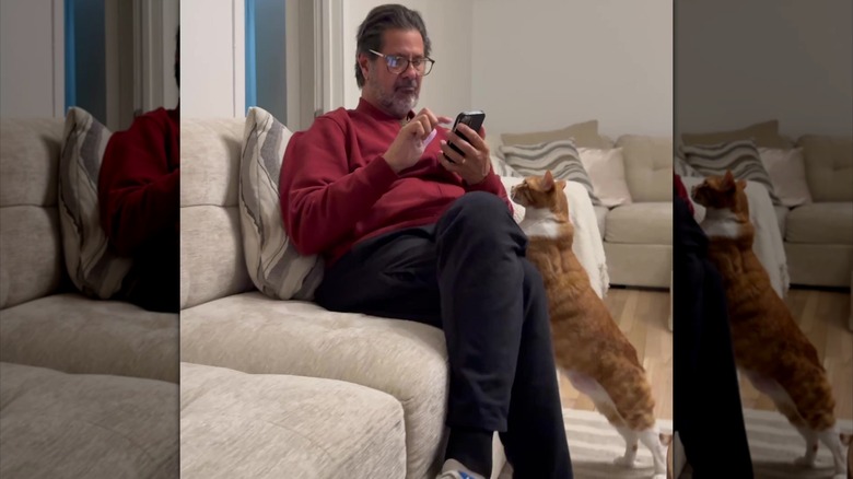 Orange and white cat snuggles up to man on cream-colored couch.