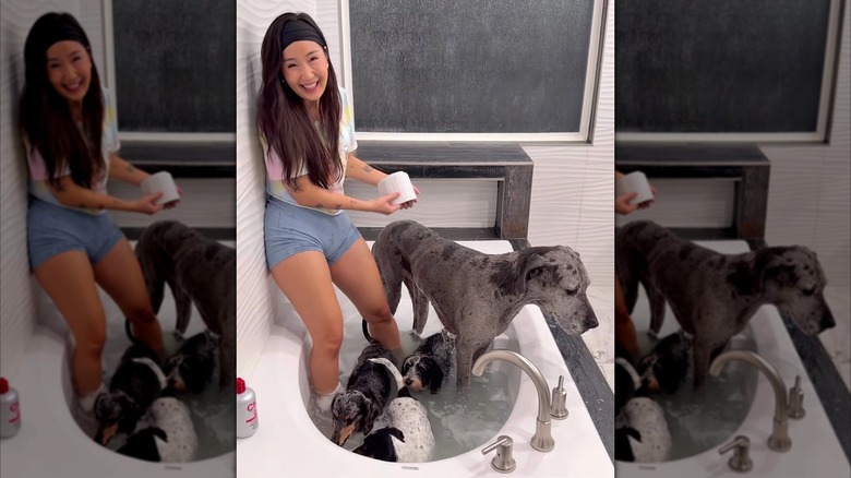 A woman standing in a bathtub with a great Dance and three small dogs