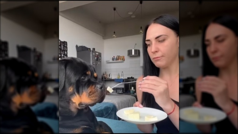 Dark-haired woman feeding a Rottweiler named Sannem from plate