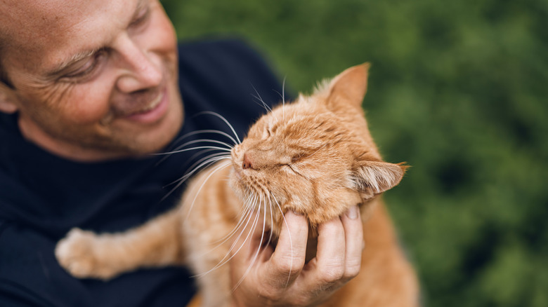 A man cuddles his orange cat outdoors