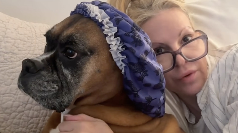 Poppy the boxer from Instagram wears a shower bonnet as she gets spoiled by grandma.