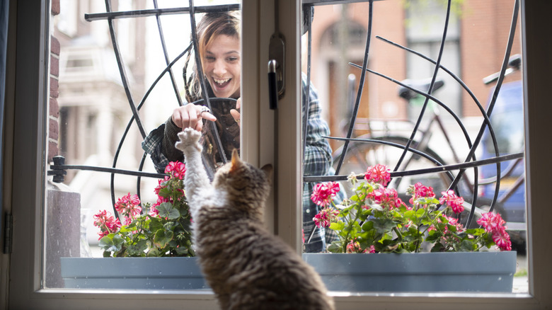 Woman outside pointing through window at cat on the other side, cat's paw pressed against window