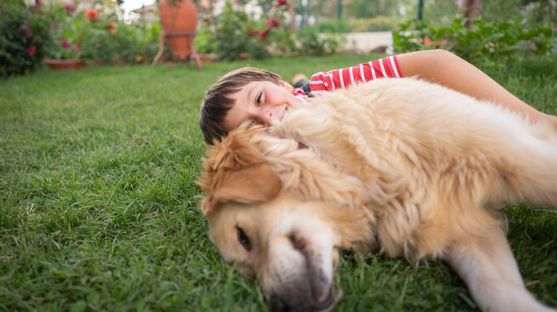 A little boy lies in the grass with a golden retriever.