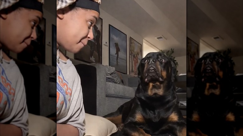 A woman in bonnet looking wide-eyed at a rottweiler.