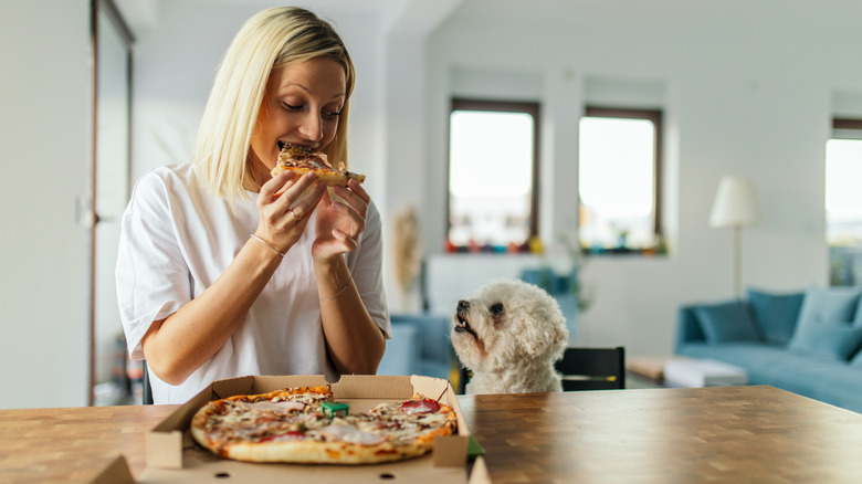 A little dog looks longingly at a woman eating pizza.