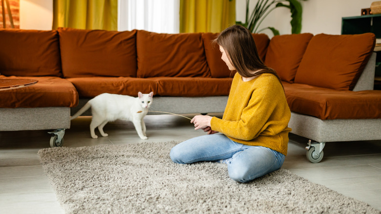 A woman tries to play with a cat.