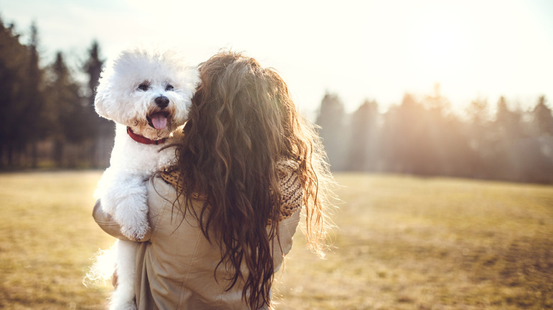 A woman cuddles her Bichon Frise outdoors